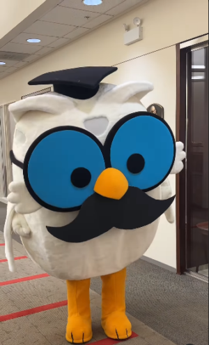 mr owl mustache