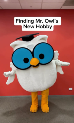 New Hobby