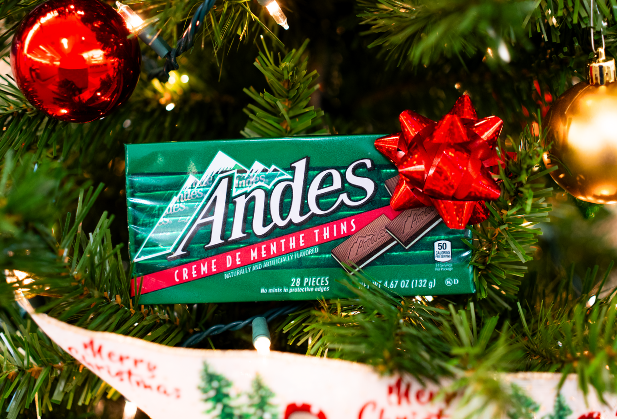 Andes_Xmas Cover 2025