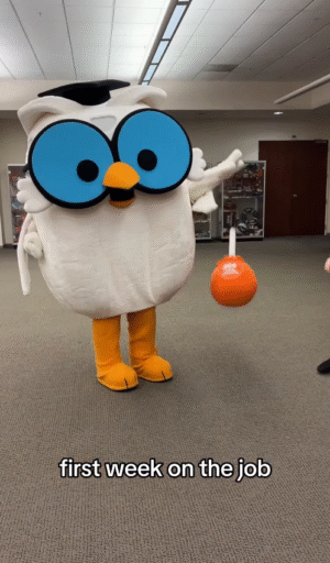 Mr Owl First Week on Job