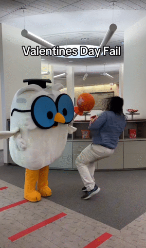Mr Owl Vday Fail