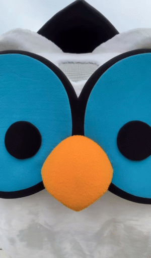 Mr Owl Close Up